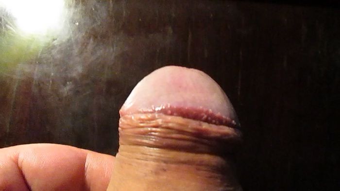 Для Ракушки