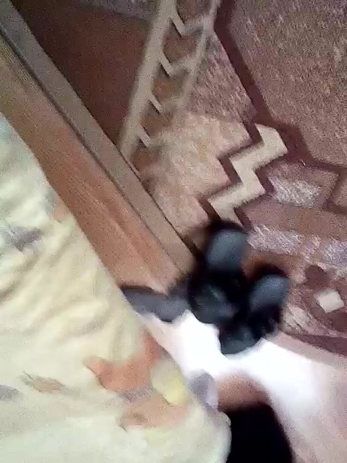 Очень скушно хто розукрасить одиночество