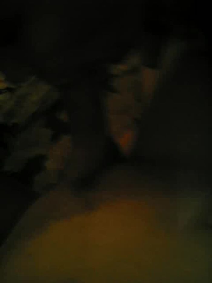 так я люблю сосать хуи