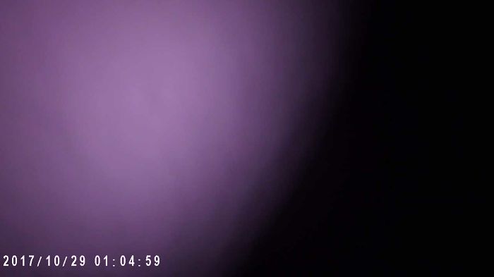 со спины к жене