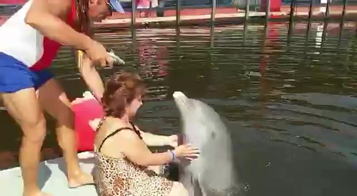 ვის უყვარს იუმორი და სექსი