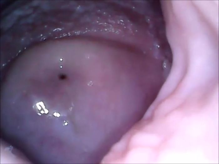 секс изнутри