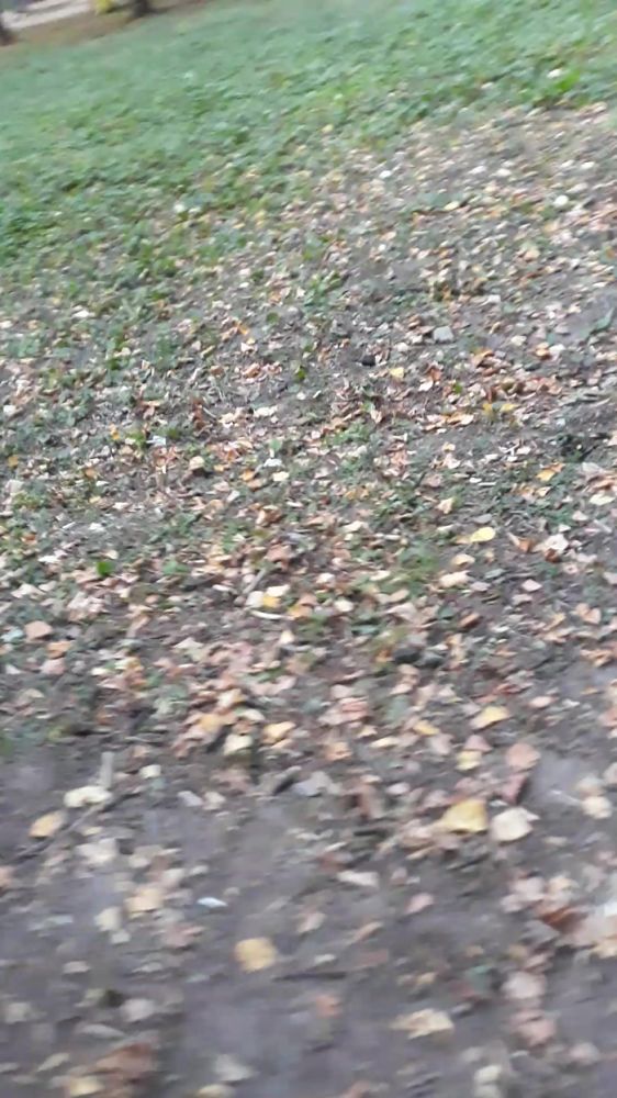 Академика 47