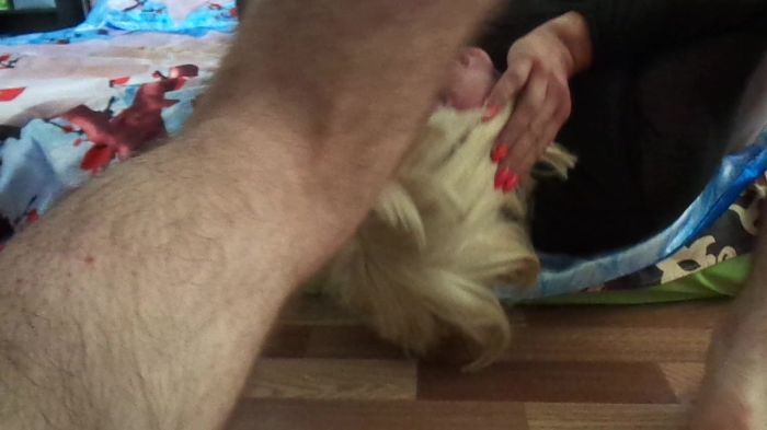 Ебет в рот...