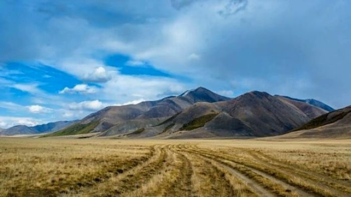 Как Украине освободиться от оккупантов