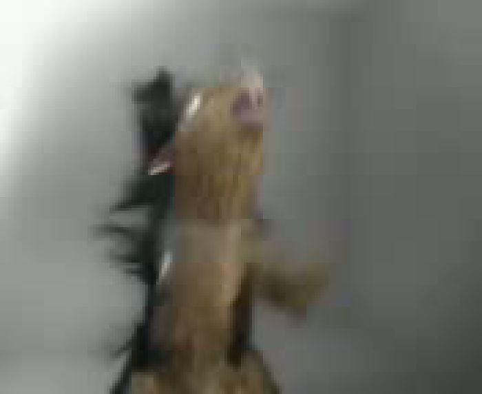 Личные видео