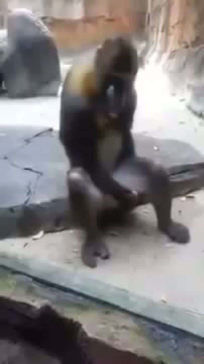 онанизм укрепляет организм