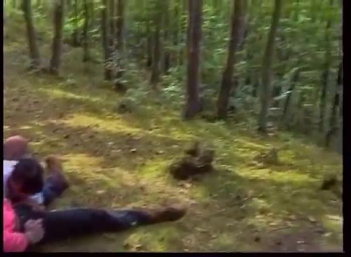 Хорошо в лесу)